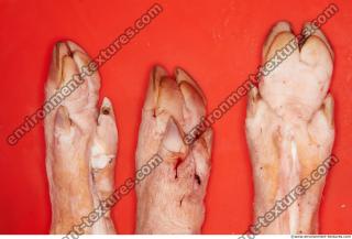 Photo Textures of Pig Leg 